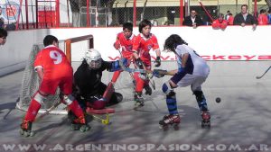 'Argentinos Juniors', 'los Bichos', 'Los Bichitos', 'La Paternal, 'Argentinos Pasión', 'Argentinos Juniors', 'Hockey sobre patines', Hockey, patines,